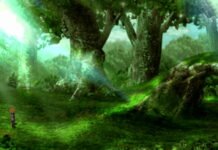 Nhiệm vụ phụ The Ancient Forest