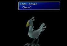 Đua và nhân giống Chocobo